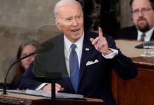 Biden levine