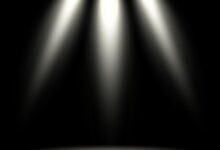 Word of the day limelight