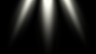 Word of the day limelight