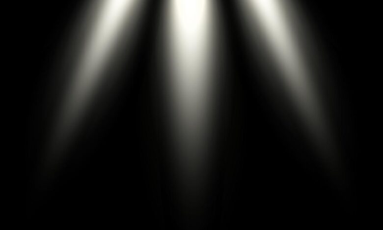 Word of the day limelight