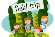 Trip we frenzy 4th grade fossils could found take cool part was