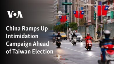 Chinese influence campaign division elections