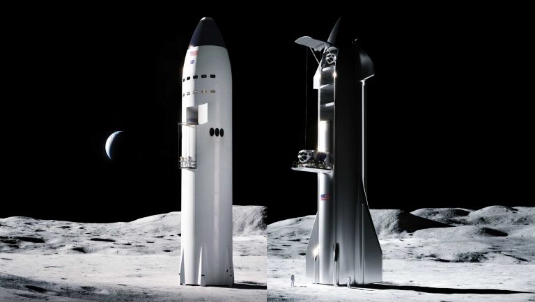 Jeff koons spacex moon rocket