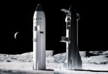 Jeff koons spacex moon rocket