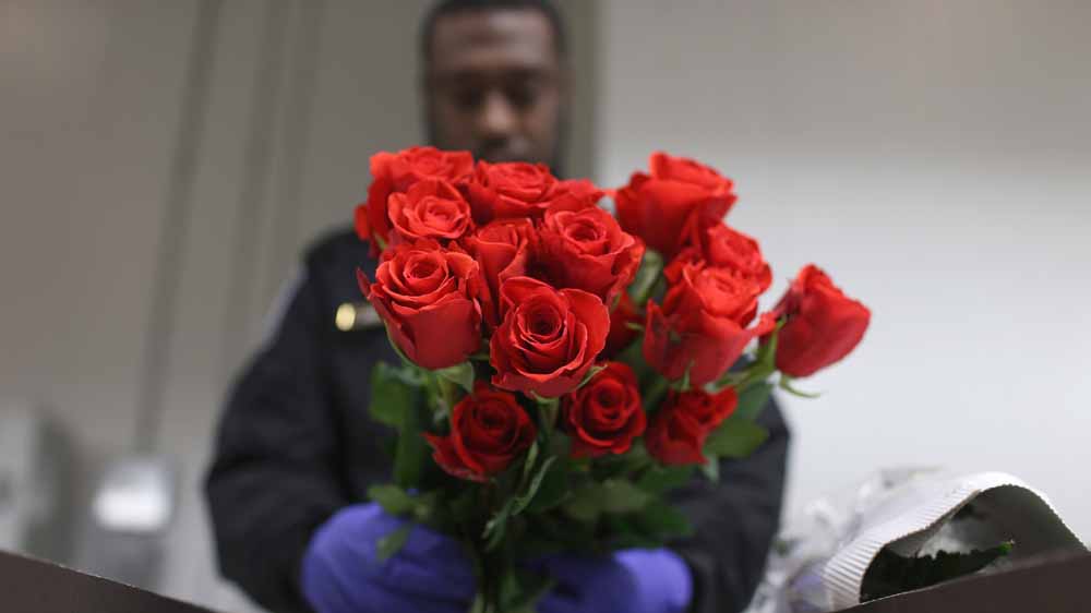 Valentines day flowers miami airport