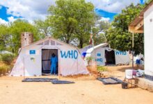 Cholera outbreak zimbabwe zambia malawi