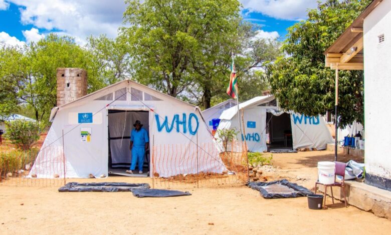 Cholera outbreak zimbabwe zambia malawi