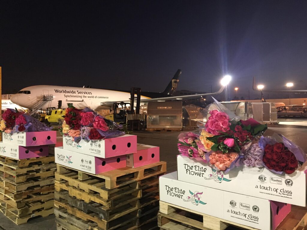 Valentines arrangements roses Valentines day flowers miami airport