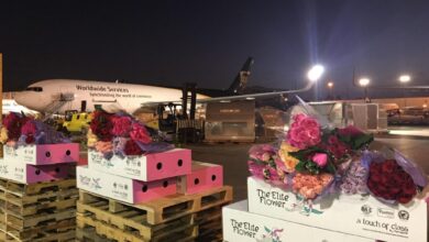 Valentines day flowers miami airport