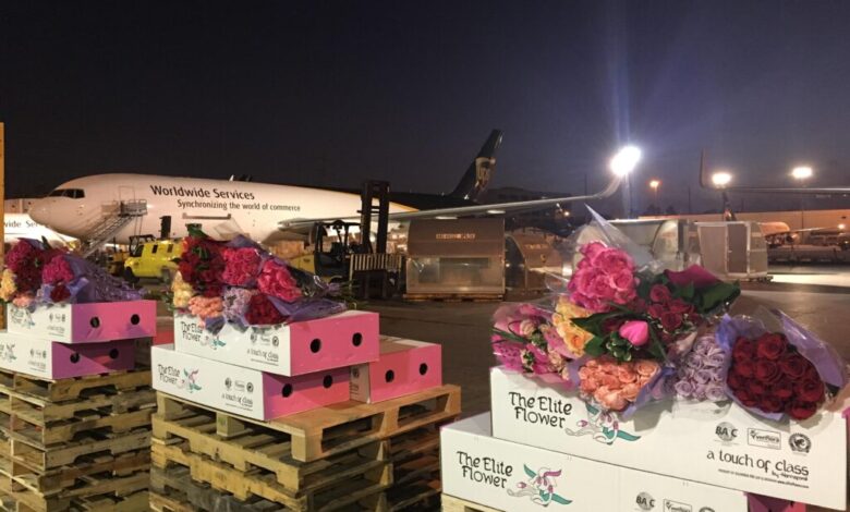 Valentines day flowers miami airport