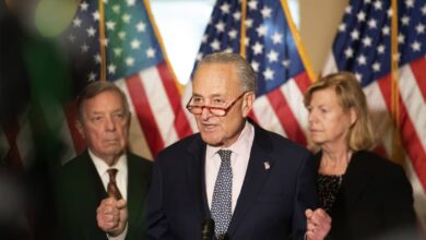 Ukraine israel aid bill senate