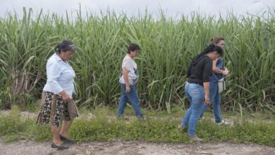 Mexico disappeared lorenza cano