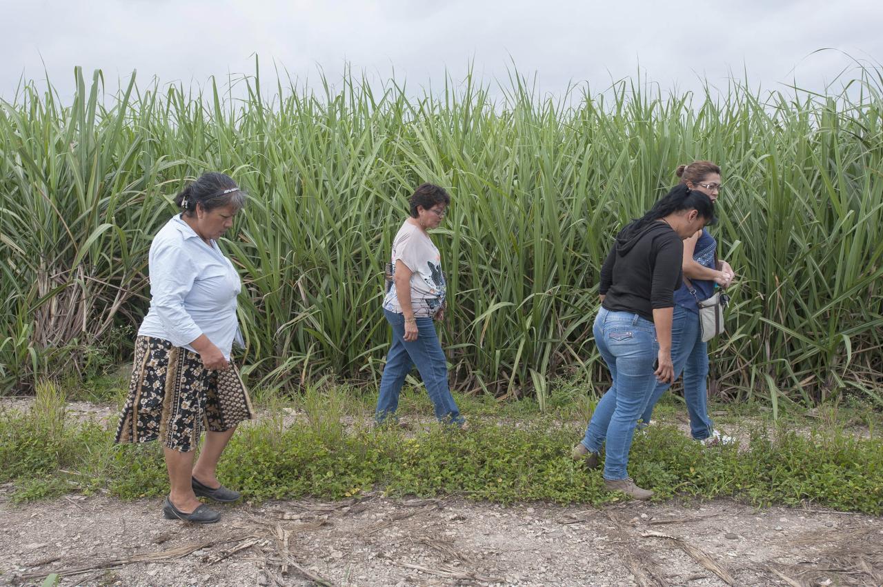 Mexico disappeared lorenza cano