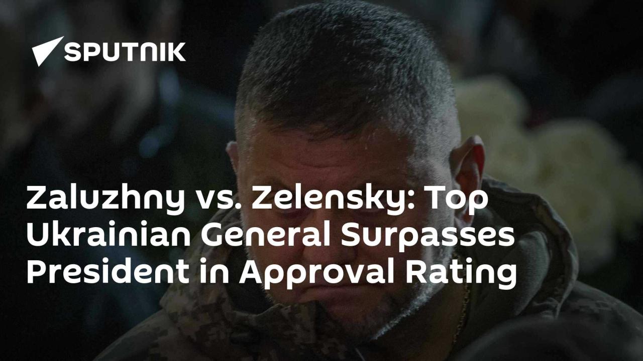 Ukraine zelensky zaluzhny general