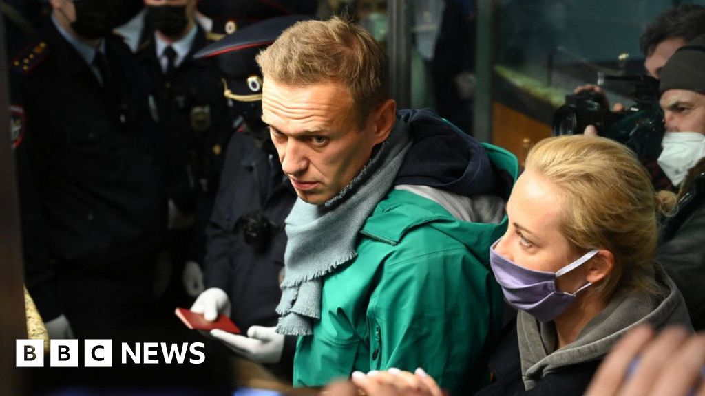 Alexei navalny death resistance