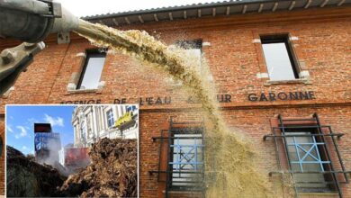 Spark french farmer protests