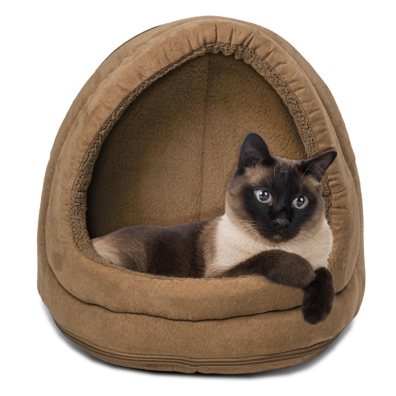 Dog bed cat pet