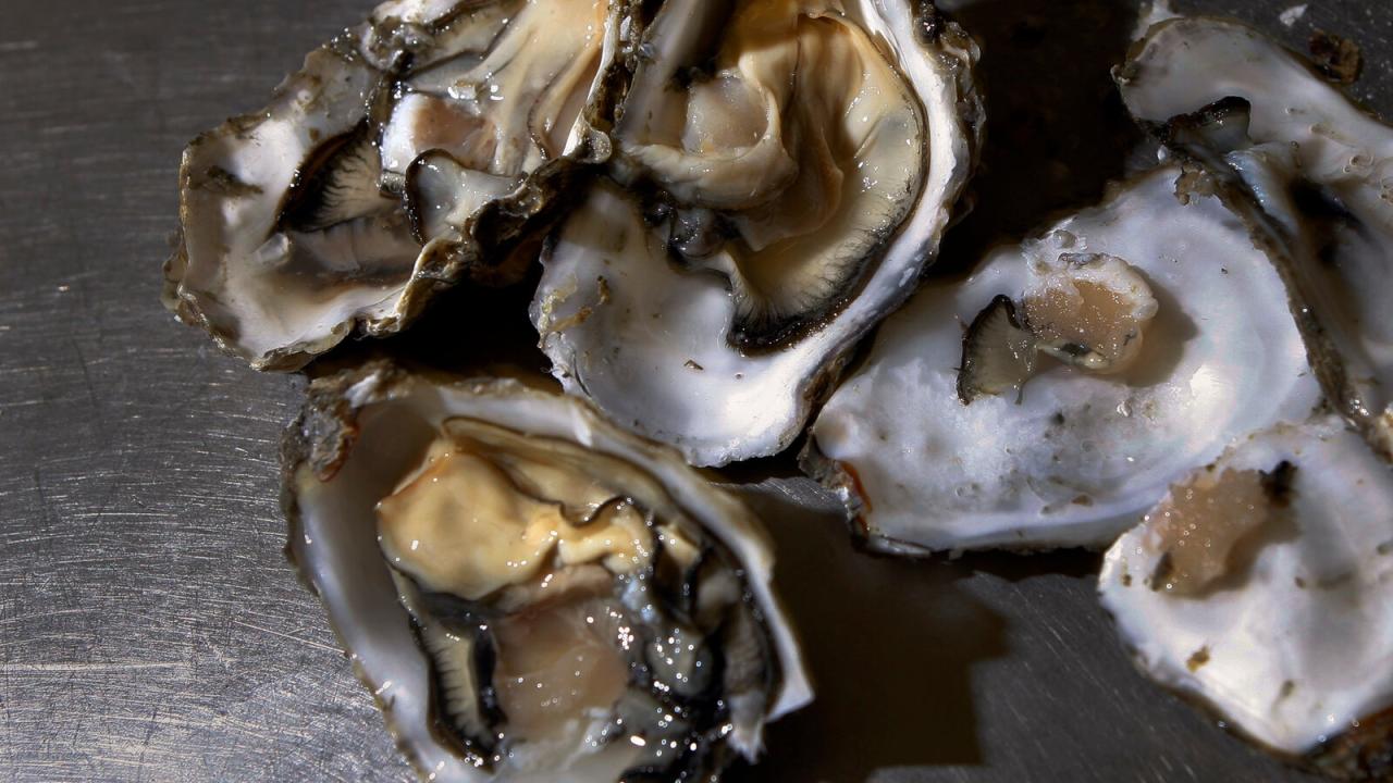 Raw oyster illnesses california