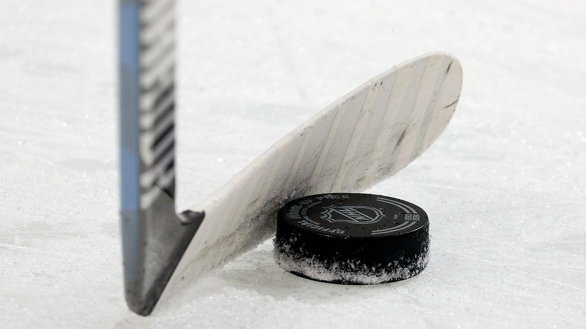 Hockey sexual assault charges