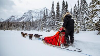 Maine dog sled cancel