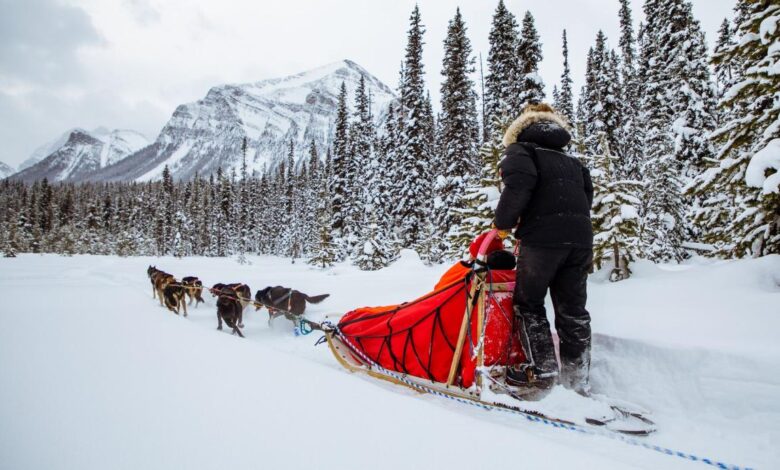 Maine dog sled cancel