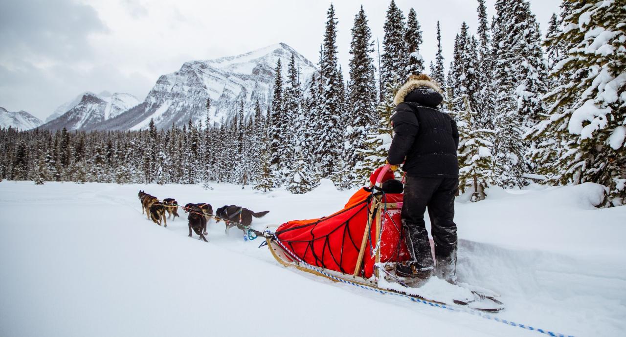 Maine dog sled cancel