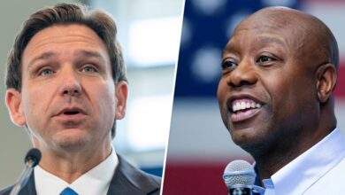 Desantis trump republicans primaries