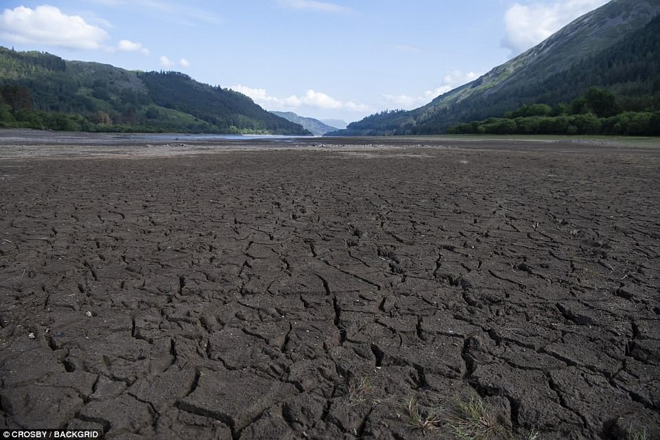 Amazon drought low water