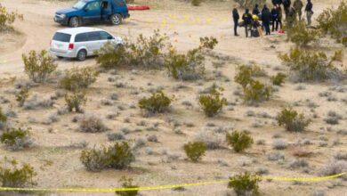 Mojave desert bodies arrest