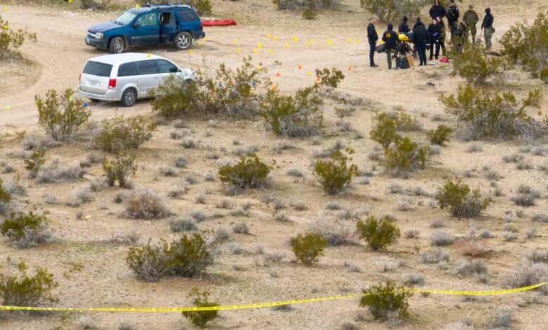 Mojave desert bodies arrest