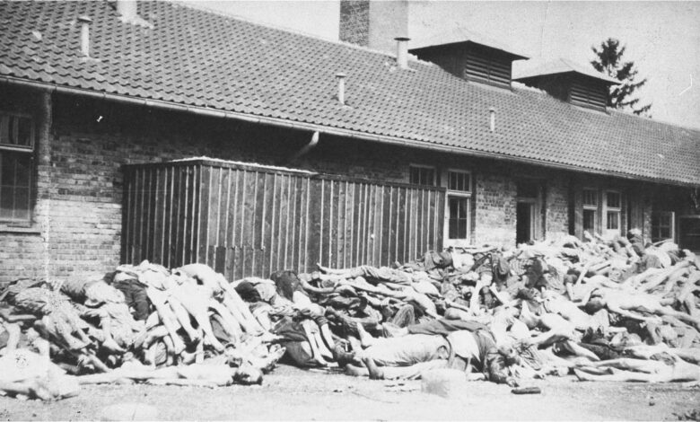 Lovers in auschwitz keren blankfeld cold crematorium jozsef debreczeni