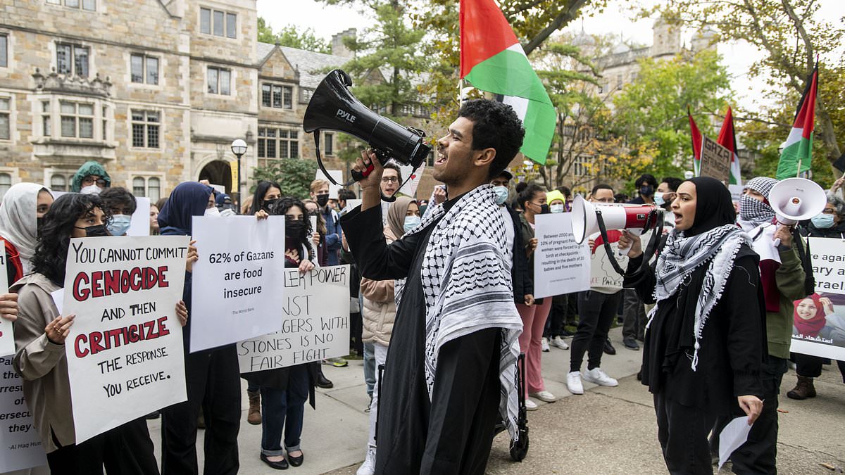 Ann arbor israel gaza ceasefire