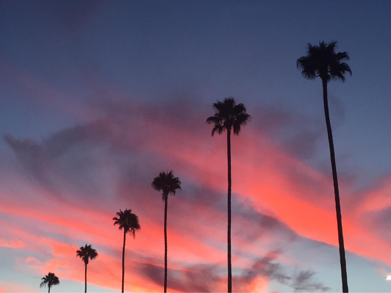 Studio city los angeles mudslide