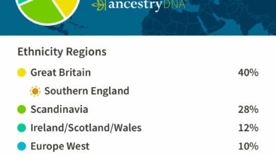 Genetic ethnicity dna ancestry test ancestrydna summary review autosomal result like stupid seem ordered brothers think just note looks information