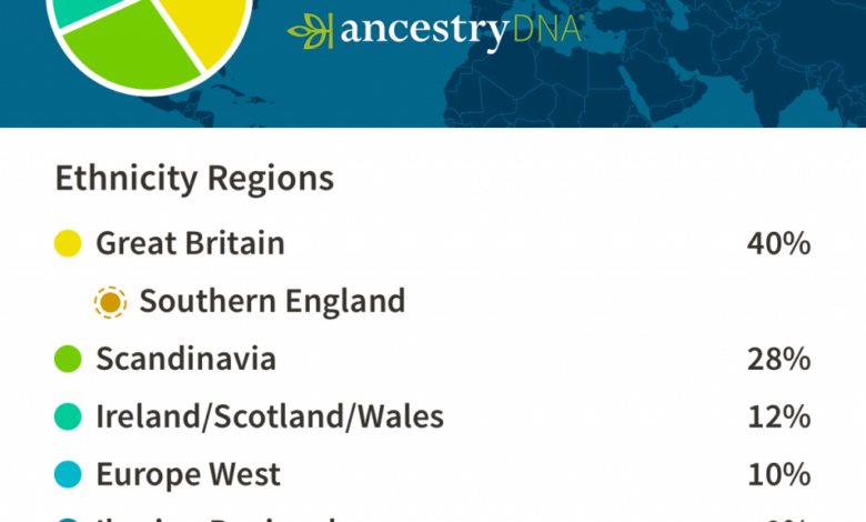 Genetic ethnicity dna ancestry test ancestrydna summary review autosomal result like stupid seem ordered brothers think just note looks information