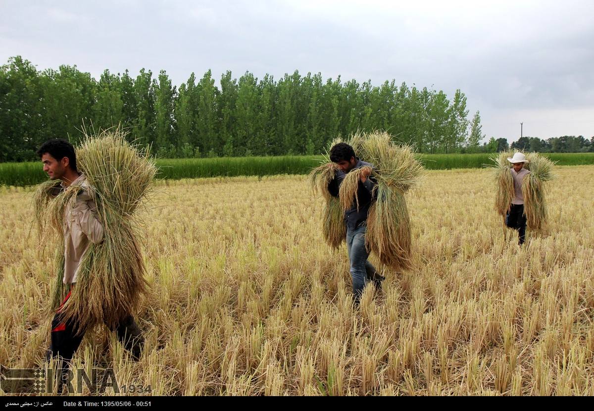 Iran us france farmers