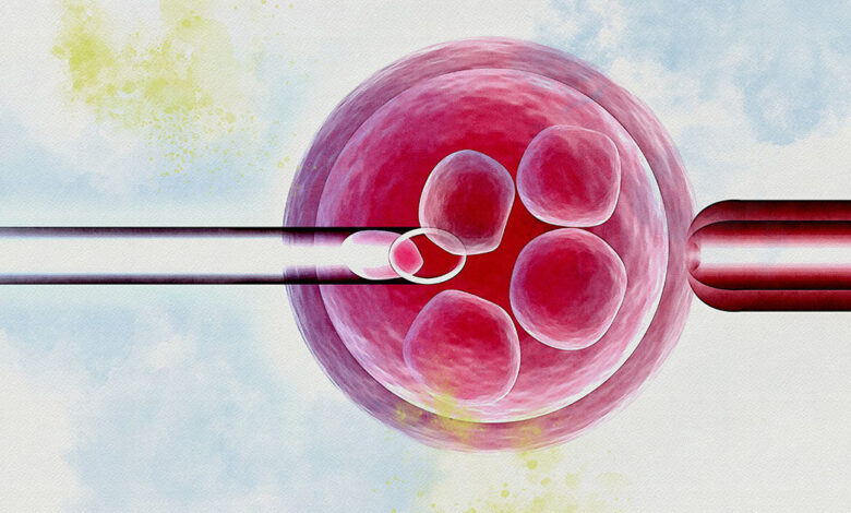 Alabama ivf court republicans democrats election