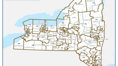 Redistricting maps ny congress