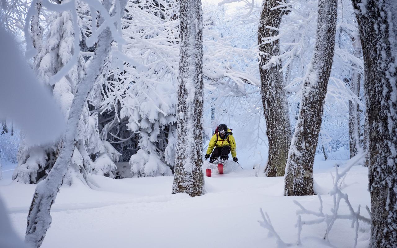 Backcountry skiing cascades large slopes empty central Northeast backcountry skiing threatened
