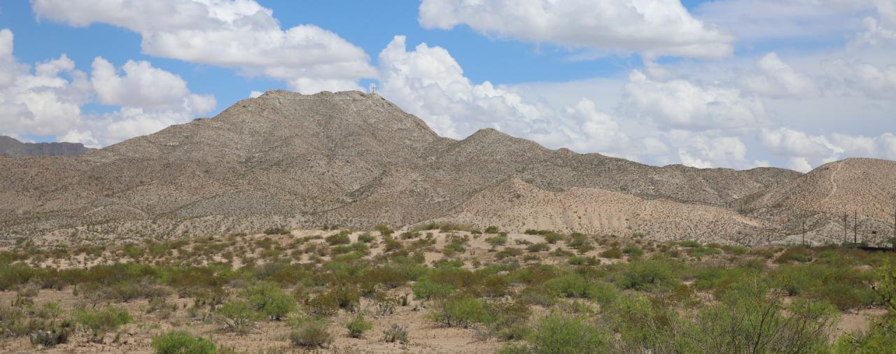 Marijuana new mexico sunland park