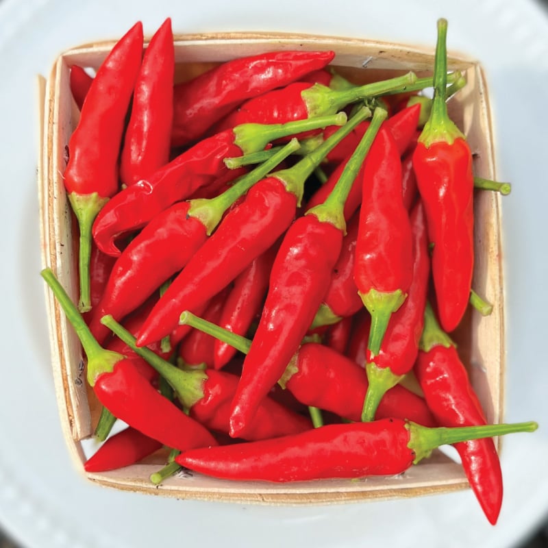 Superhot pepper documentary hulu