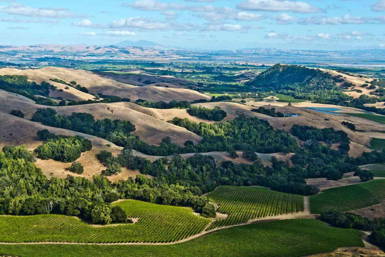 A luxurious lean to in sonoma county