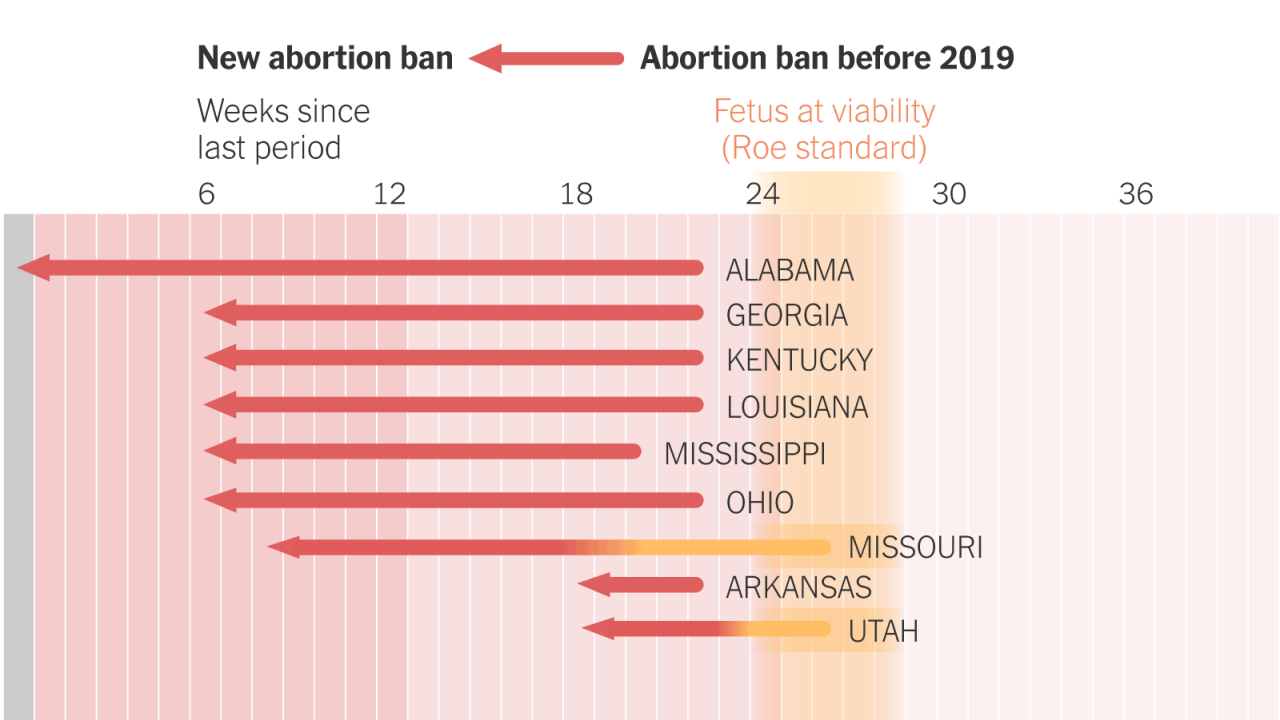 Supreme court idaho abortion ban