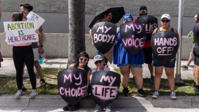Florida abortion ballot court argument