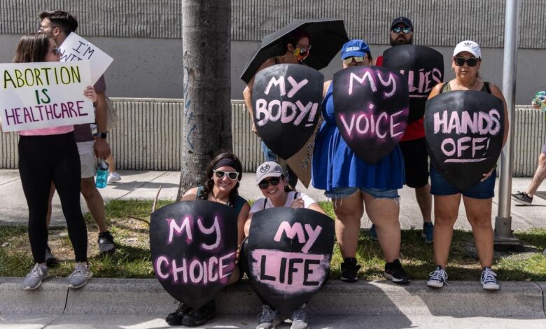 Florida abortion ballot court argument