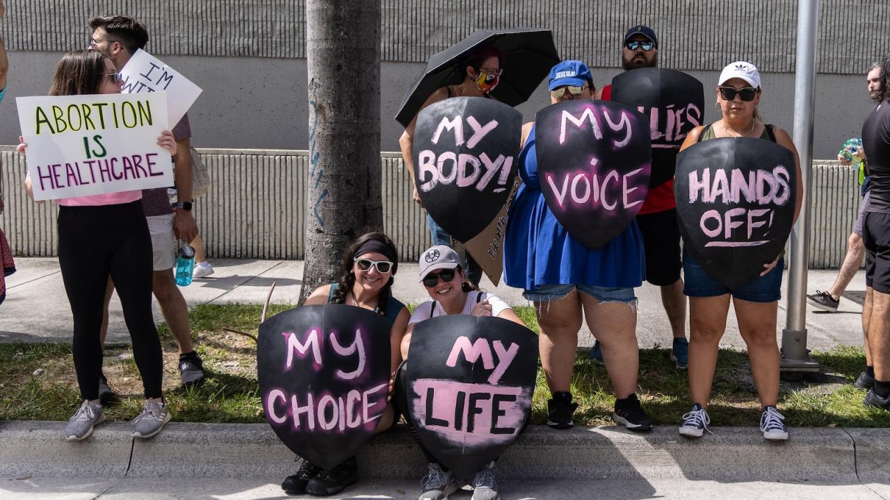 Florida abortion ballot court argument