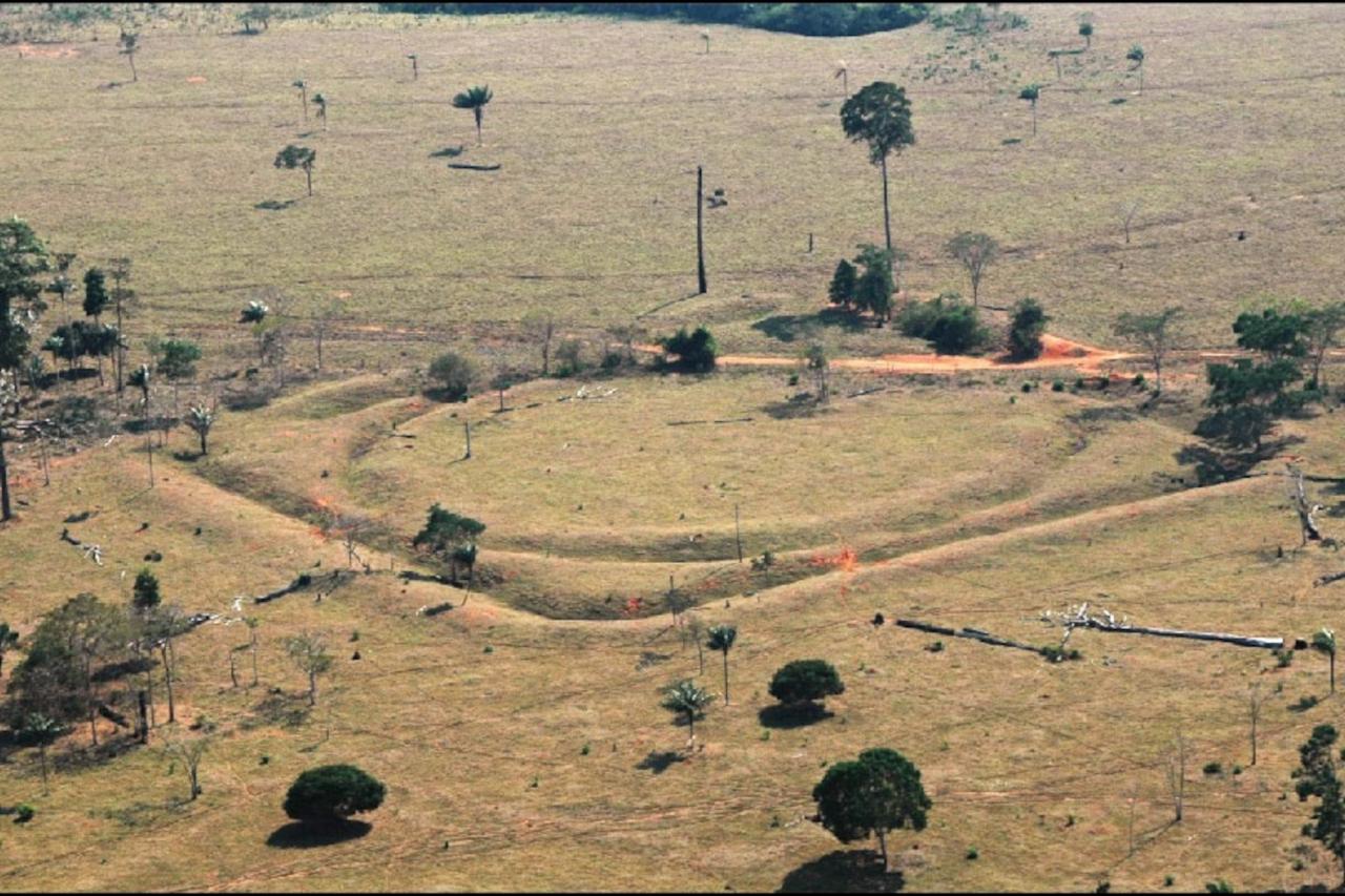 Quotation of the day research reveals remnants of sprawling ancient cities in the amazon rainforest