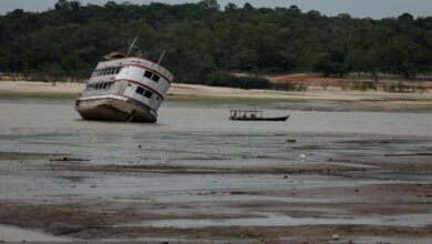 Amazon drought low water