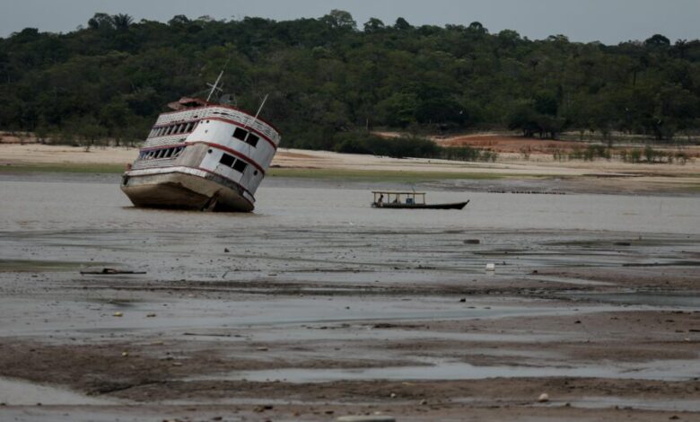 Amazon drought low water