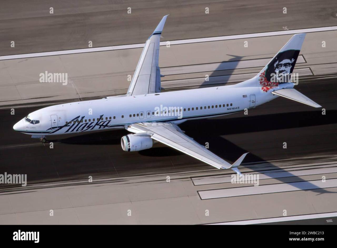 Alaska airlines flight boeing grounding